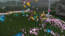 rainbowflowers Flower