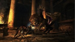 rrDogma Dragon's Dogma