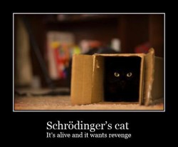 Taking Offense Schrodinger Schrodinger