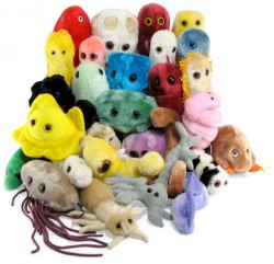FoldIt Plush Microbes Mange HIV Egg Cholera and Poopypants