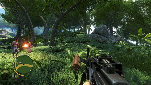 far1 Far Cry 3 Jungle